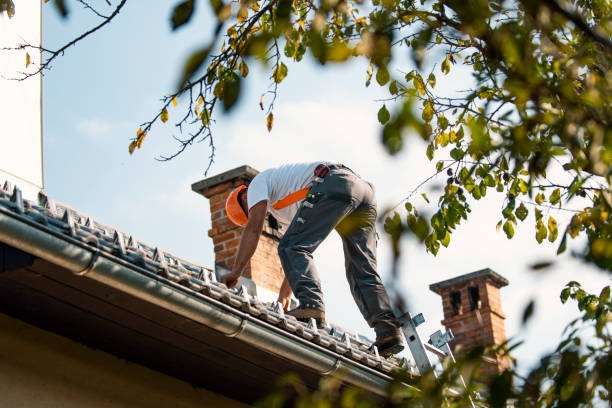 Quick and Trustworthy Emergency Roof Repair Services in Auburndale, FL