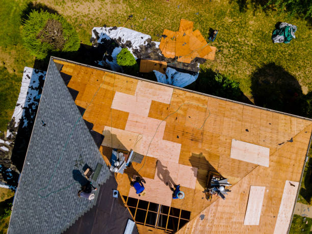 Best Storm Damage Roof Repair  in Auburndale, FL
